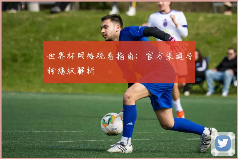 世界杯网络观看指南：官方渠道与转播权解析