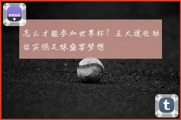 怎么才能参加世界杯?五大途径助你实现足球盛宴梦想