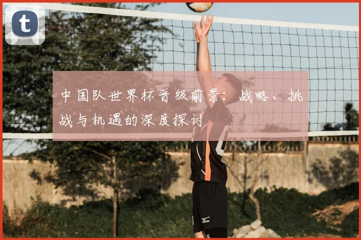 中国队世界杯晋级前景:战略、挑战与机遇的深度探讨