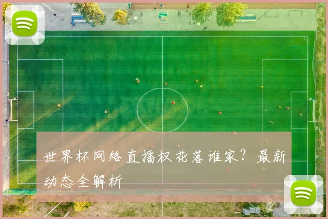 世界杯网络直播权花落谁家？最新动态全解析