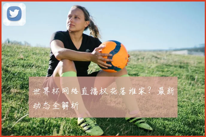 世界杯网络直播权花落谁家？最新动态全解析