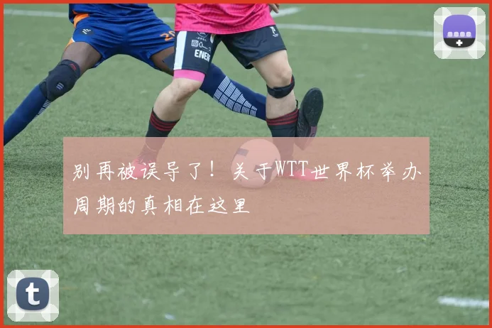 别再被误导了!关于WTT世界杯举办周期的真相在这里