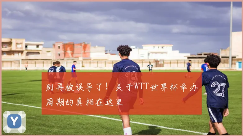别再被误导了!关于WTT世界杯举办周期的真相在这里