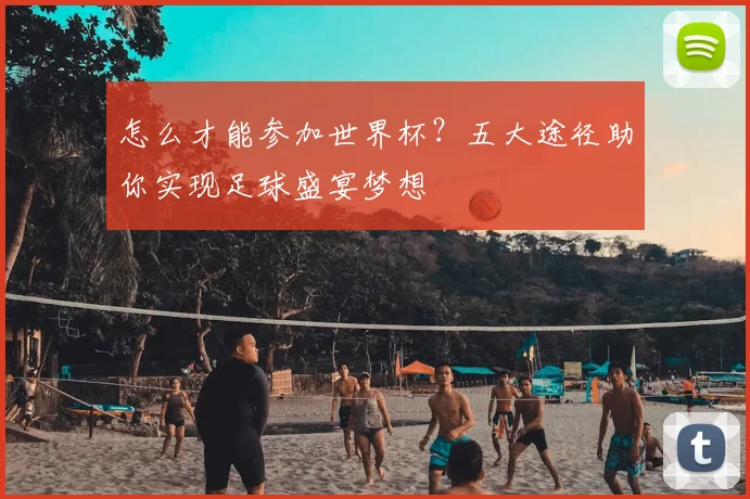 怎么才能参加世界杯？五大途径助你实现足球盛宴梦想