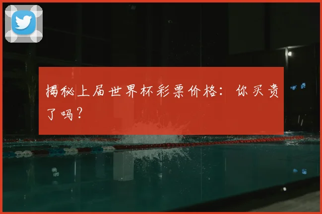 揭秘上届世界杯彩票价格：你买贵了吗？